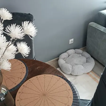 Lejlighed 4stronycentrum *