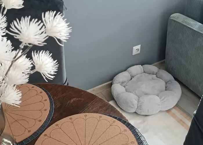 Appartement 4stronycentrum *